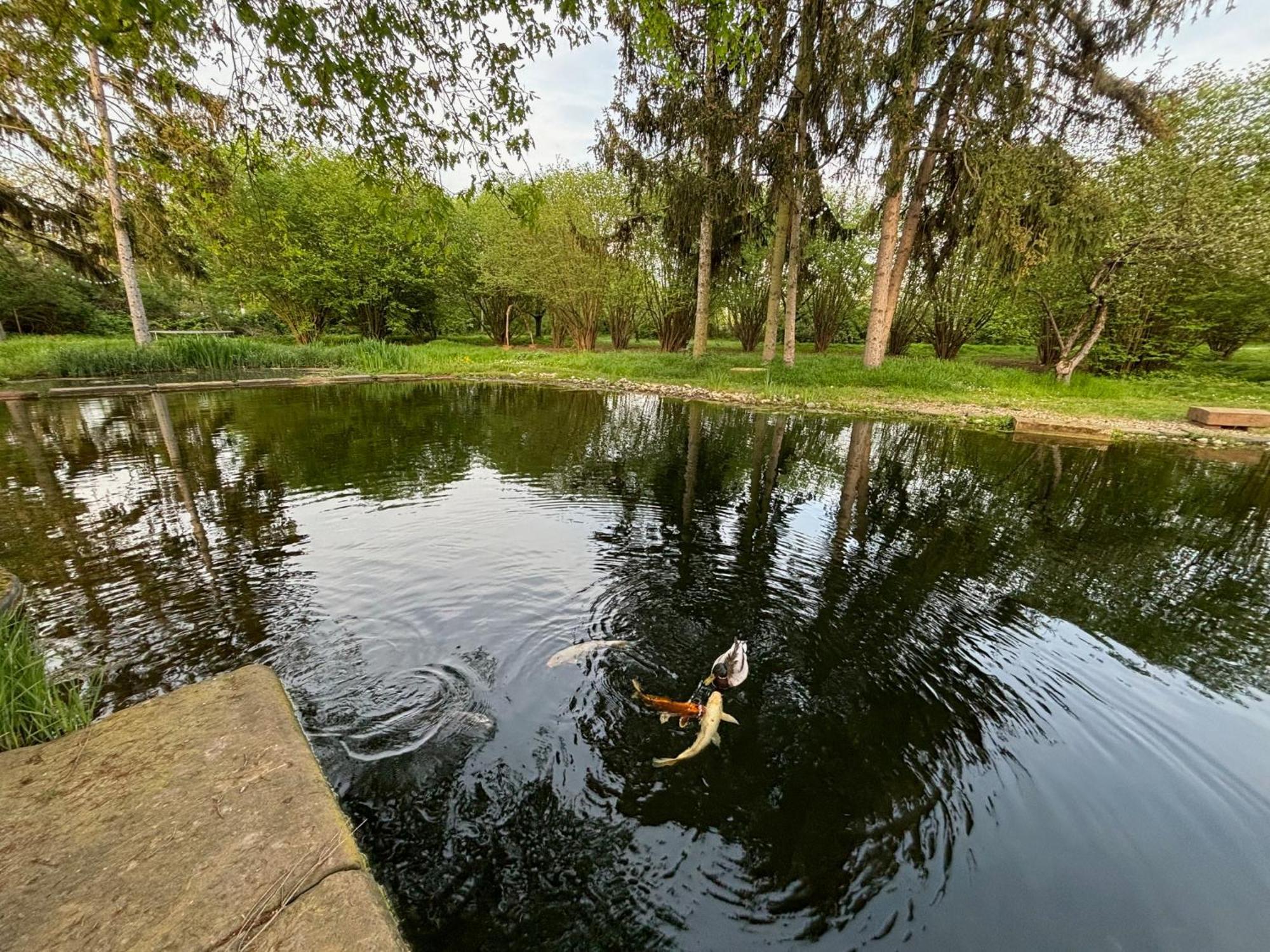 Datscha Am See วอร์มส์ ภายนอก รูปภาพ